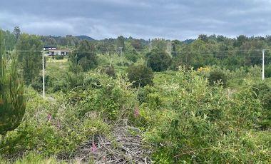 Vende parcela, Fundo Ventisquero, camino Ensenada, Puerto Varas.