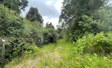 Vende parcela, Fundo Ventisquero, camino Ensenada, Puerto Varas.