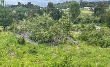 Vende parcela, Fundo Ventisquero, camino Ensenada, Puerto Varas.