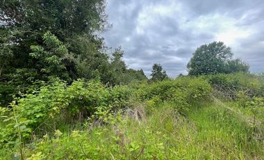 Vende parcela, Fundo Ventisquero, camino Ensenada, Puerto Varas.