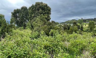 Vende parcela, Fundo Ventisquero, camino Ensenada, Puerto Varas.