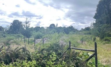 Vende parcela, Fundo Ventisquero, camino Ensenada, Puerto Varas.
