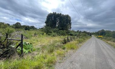 Vende parcela, Fundo Ventisquero, camino Ensenada, Puerto Varas.