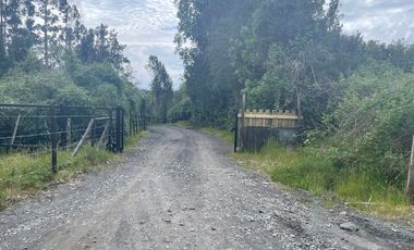 Vende parcela, Fundo Ventisquero, camino Ensenada, Puerto Varas.