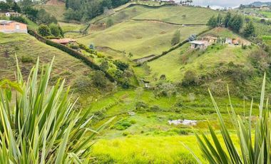 VENTA DE ESPECTACULAR FINCA DE 16.000 Mt2 , PUEDES VIVIR TRANQUILO O HACER PROYECTO TURISTICO,  SAN VICENTE, ANTIOQUIA