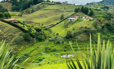 VENTA DE ESPECTACULAR FINCA DE 16.000 Mt2 , PUEDES VIVIR TRANQUILO O HACER PROYECTO TURISTICO,  SAN VICENTE, ANTIOQUIA