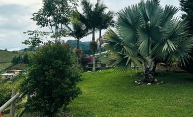 VENTA DE ESPECTACULAR FINCA DE 16.000 Mt2 , PUEDES VIVIR TRANQUILO O HACER PROYECTO TURISTICO,  SAN VICENTE, ANTIOQUIA