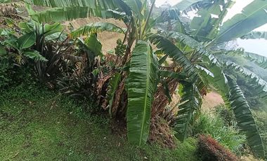 Finca en venta en Marinilla vereda la esperanza