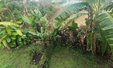 Finca en venta en Marinilla vereda la esperanza