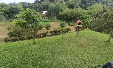 Finca en venta en Marinilla vereda la esperanza