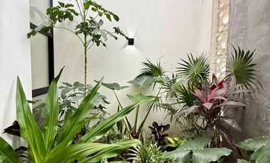 Casa en Venta en Dzityá con habitación en Planta Baja