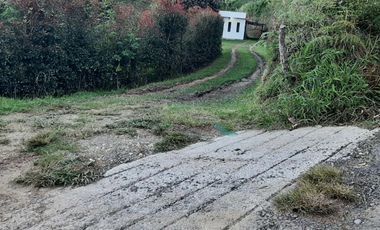 VENTA DE FINCA DE 4.200 Mt2, CON TERRENO MIXTO, A SOLO 20 MIN. DEL AEROPUERTO JMC, RIONEGRO, ANTIOQUIA