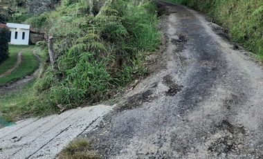 VENTA DE FINCA DE 4.200 Mt2, CON TERRENO MIXTO, A SOLO 20 MIN. DEL AEROPUERTO JMC, RIONEGRO, ANTIOQUIA