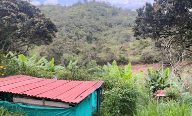 VENTA DE FINCA DE 4.200 Mt2, CON TERRENO MIXTO, A SOLO 20 MIN. DEL AEROPUERTO JMC, RIONEGRO, ANTIOQUIA