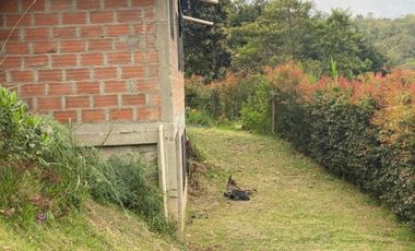 VENTA DE FINCA DE 4.200 Mt2, CON TERRENO MIXTO, A SOLO 20 MIN. DEL AEROPUERTO JMC, RIONEGRO, ANTIOQUIA