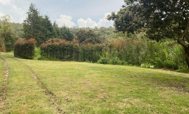 VENTA DE FINCA DE 4.200 Mt2, CON TERRENO MIXTO, A SOLO 20 MIN. DEL AEROPUERTO JMC, RIONEGRO, ANTIOQUIA