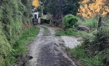 VENTA DE FINCA DE 4.200 Mt2, CON TERRENO MIXTO, A SOLO 20 MIN. DEL AEROPUERTO JMC, RIONEGRO, ANTIOQUIA