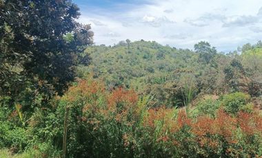 VENTA DE FINCA DE 4.200 Mt2, CON TERRENO MIXTO, A SOLO 20 MIN. DEL AEROPUERTO JMC, RIONEGRO, ANTIOQUIA