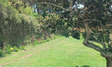 VENTA DE FINCA DE 4.200 Mt2, CON TERRENO MIXTO, A SOLO 20 MIN. DEL AEROPUERTO JMC, RIONEGRO, ANTIOQUIA