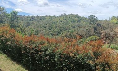 VENTA DE FINCA DE 4.200 Mt2, CON TERRENO MIXTO, A SOLO 20 MIN. DEL AEROPUERTO JMC, RIONEGRO, ANTIOQUIA