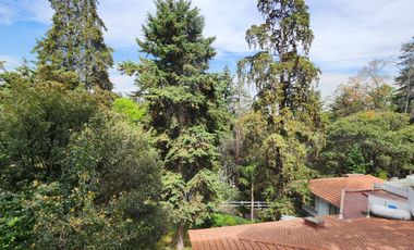 Departamento AMUEBLADO en RENTA, Priv. Hidalgo 25, Col. Sn Bartolo Ameyalco