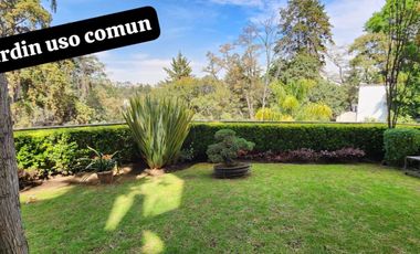 Departamento AMUEBLADO en RENTA, Priv. Hidalgo 25, Col. Sn Bartolo Ameyalco