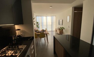 DEPARTAMENTO EN RENTA EN EL VIGIA ART PARK