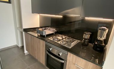 DEPARTAMENTO EN RENTA EN EL VIGIA ART PARK