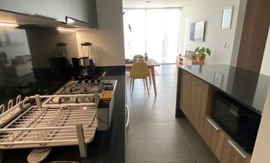 DEPARTAMENTO EN RENTA EN EL VIGIA ART PARK