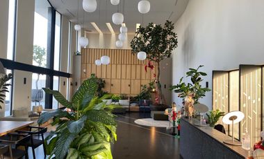 DEPARTAMENTO EN RENTA EN EL VIGIA ART PARK