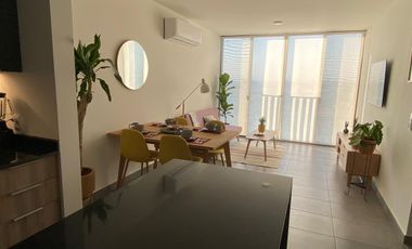 DEPARTAMENTO EN RENTA EN EL VIGIA ART PARK