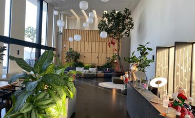 DEPARTAMENTO EN RENTA EN EL VIGIA ART PARK