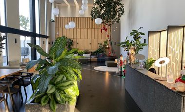 DEPARTAMENTO EN RENTA EN EL VIGIA ART PARK