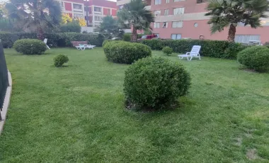 Departamento En Venta En Barrio Yungay