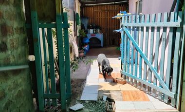 CASA EN MACUL A CUADRAS METRO AGRICOLA Y AVENIDA MARATHON