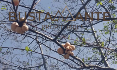 Terreno Ubicado En La Región De Los Ríos, Urbanizado.