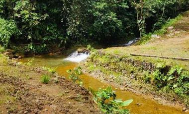 Venta de Quinta Vacacional Pedro Vicente Maldonado - Pichincha