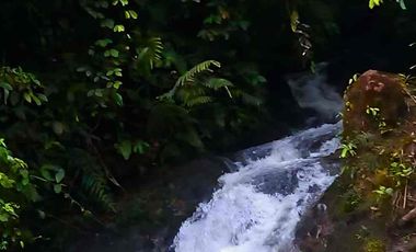 Venta de Quinta Vacacional Pedro Vicente Maldonado - Pichincha
