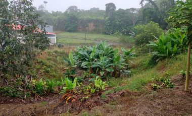 Terreno con galpon y vivienda.
