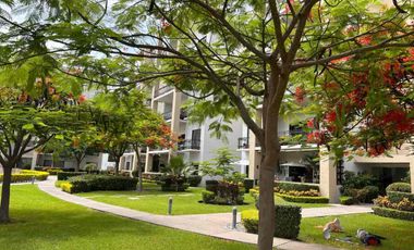 Renta departamento amueblado