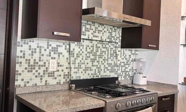 Renta departamento amueblado