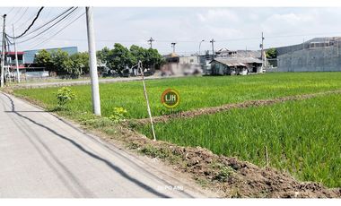 Kavling di DS Batursari Mranggen Jawa Tengah