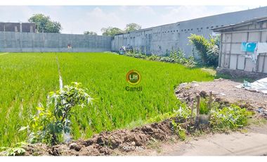 Kavling di DS Batursari Mranggen Jawa Tengah