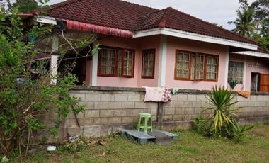 ขายบ้านเดี่ยวชั้นเดียว เนื้อที่ 63.1 ตร.วา พระพรหม นครศรีธรรมราช