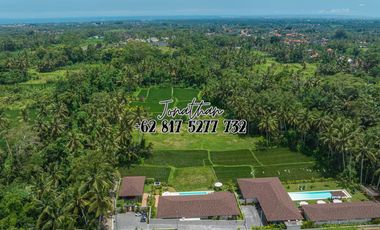 Dijual Villa Eksklusif Leasehold View Sawah di Pejeng Ubud