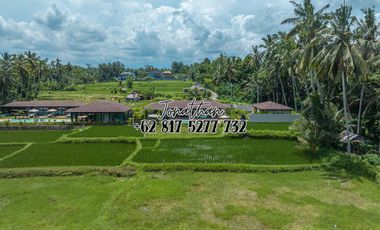 Dijual Villa Eksklusif Leasehold View Sawah di Pejeng Ubud