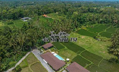 Dijual Villa Eksklusif Leasehold View Sawah di Pejeng Ubud
