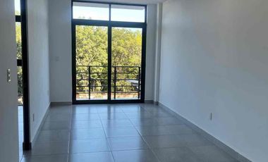 Renta departamento torre ghalia