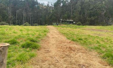 Vendo propiedad de 3 hectáreas