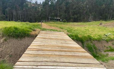 Vendo propiedad de 3 hectáreas